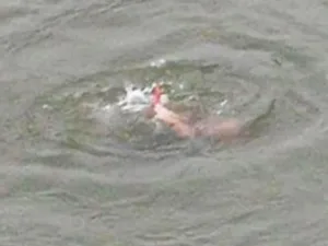 Five drown as heat drives crowds to water