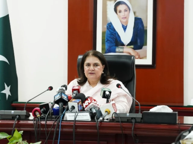 BISP chairperson asks for apology over Sanaullah’s ‘beggar’ remarks on programme’s beneficiaries