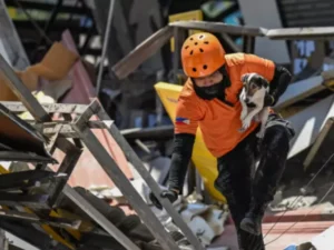 Outdoor hospitals, cut-off communities as Philippine quake toll hits 41