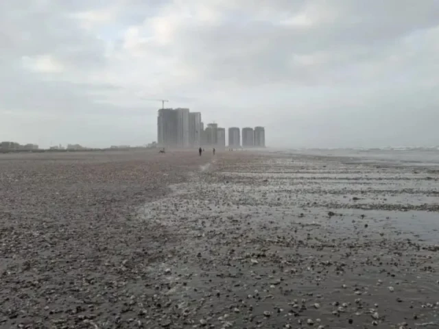 Why do thousands of seashells wash up on Karachi’s shores every monsoon?