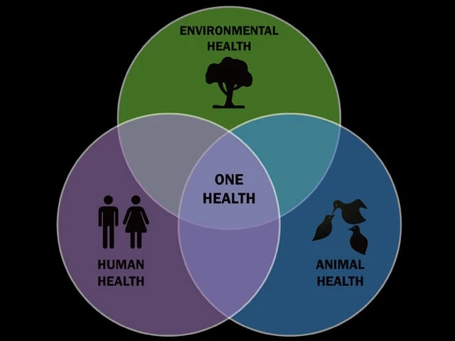 Experts push ‘One Health’ framework