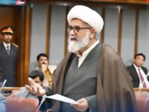 Senate opp leader files privilege motion against Barakahu SHO