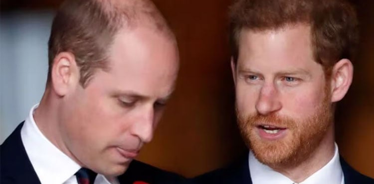 Prince William rattled by Prince Harry’s UK return