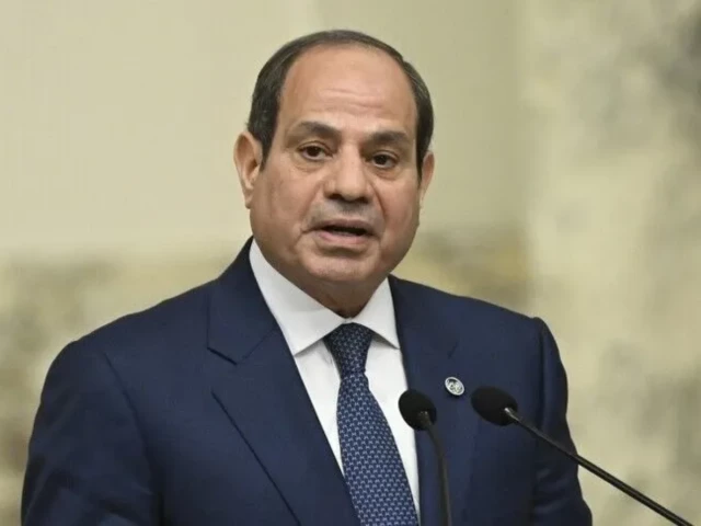 Egypt rules out ‘popular normalization’ with Israel without just peace, Palestinian state