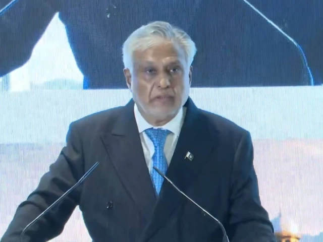 Islamabad seeks Turkish investment in energy, mining, defence and IT among other sectors: Dar