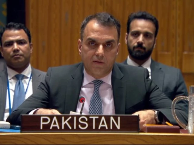Pakistan reaffirms support for Saudi Arabia at UN, condemns Houthi attacks