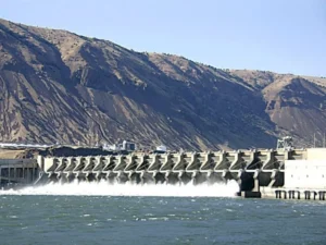 FCC bars court intervention in Nai Gaj Dam project until completion