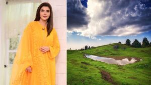 Nida Yasir makes emotional appeal after disturbing Mushkpuri adventure