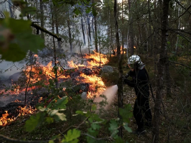Firefighters battle Fontainebleau forest fire near Paris as two arrested