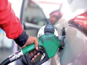 Govt mulls daily oil price review