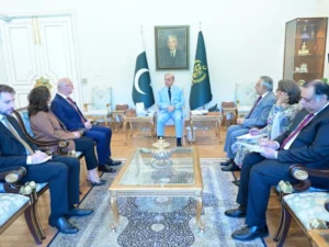 PM, Croatian foreign minister discuss expanding cooperation across key sectors