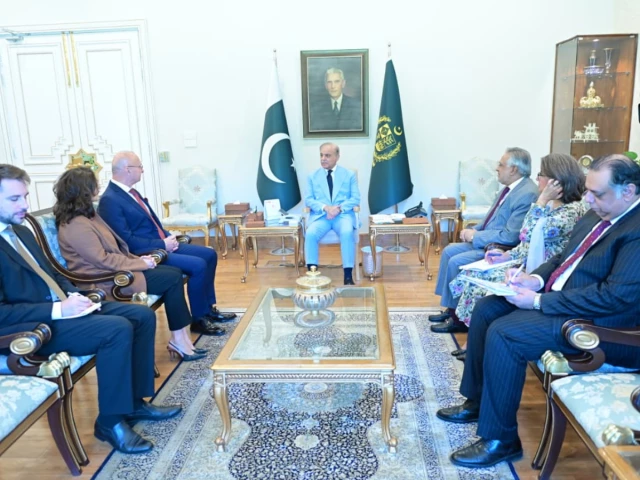 PM, Croatian foreign minister discuss expanding cooperation across key sectors